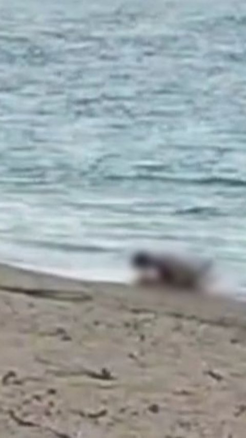 Viral Video Dua WNA Diduga Mesum di Pantai Mandalika