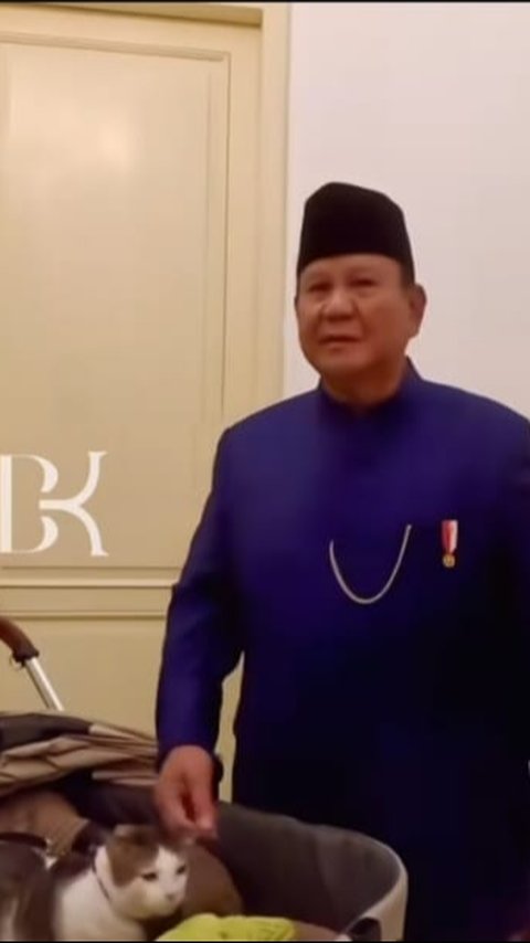 Sah, Bobby The Cat jadi 'Penguasa Istana Merdeka' Dampingi Prabowo