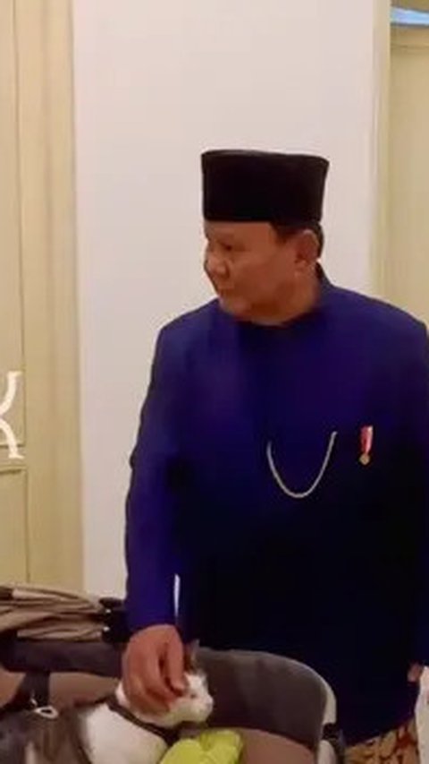 VIDEO: Gemasnya Bobby Kertanegara Jadi 'Penguasa Istana', Kucing Prabowo Dibawa Naik Stroller