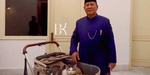 Netizen Main Tebak-tebakan Harga Stroller Bobby Kertanegara, Kucing Peliharaan Presiden Prabowo