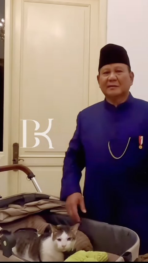 Netizen Main Tebak-tebakan Harga Stroller Bobby Kertanegara, Kucing Peliharaan Presiden Prabowo