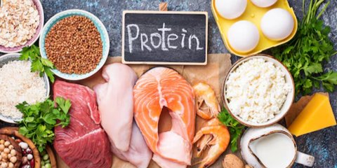 Mengapa Diet Tinggi Protein Menjadi Pilihan Cerdas untuk Mengatasi Obesitas?