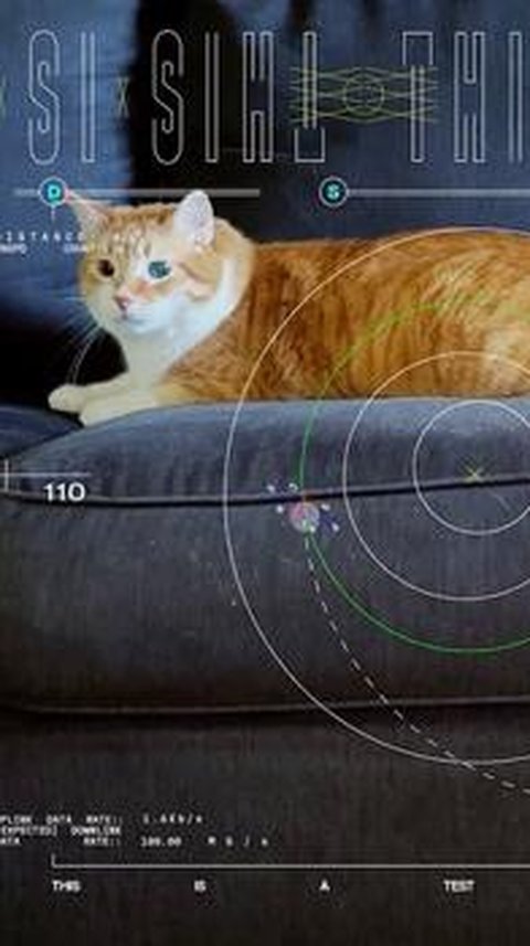 NASA Pancarkan Video Kucing ke Luar Angkasa Pakai Laser Hingga Jarak 390 Juta Kilometer, Ini Tujuannya