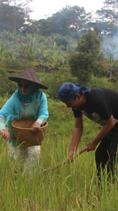 Kampung Cigadung Jadi Jadi Daya Tarik Lain di Tengah Kota Bandung, Bisa Belajar Membatik sampai Menikmati Indahnya Curug Jernih