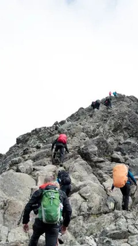 10 Hari Tersesat di Gunung, Pendaki Ini Selamat dengan Minum Air Satu Galon Sehari