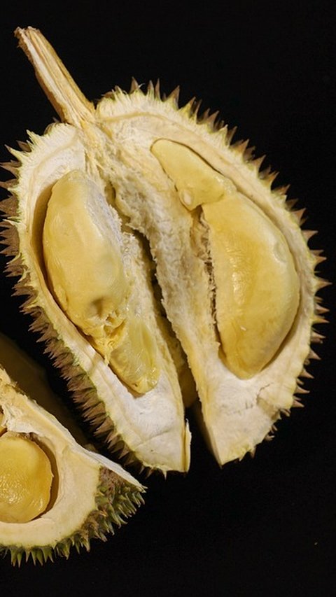 Durian Tinggi Kolesterol? Ini Fakta dan Tips Konsumsi yang Aman