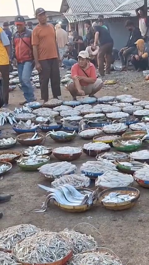 Melihat Daya Tarik Pesisir Bojonegara Serang, Ada Pasar Ikan Dadakan Langsung dari Laut