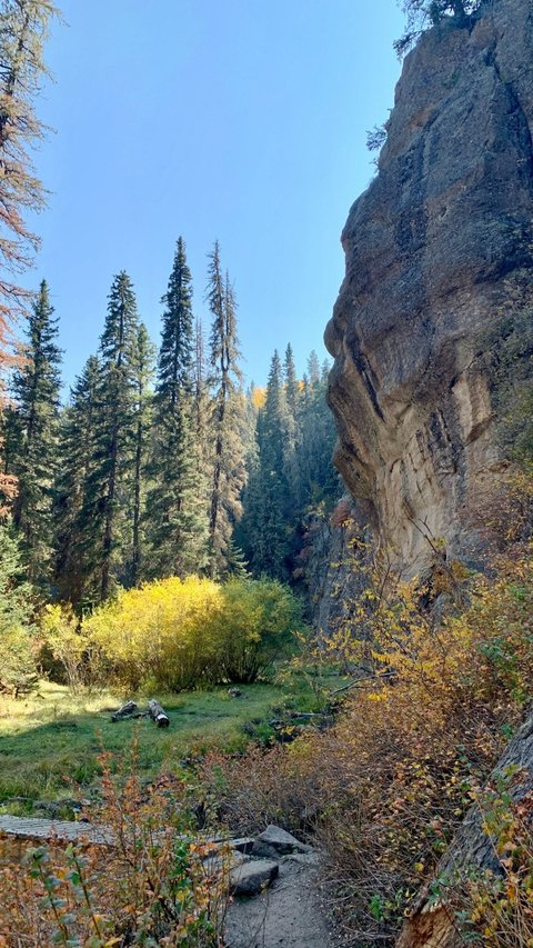 Top 10 Most Beautiful Places in New Mexico to Visit on Your Next Holiday