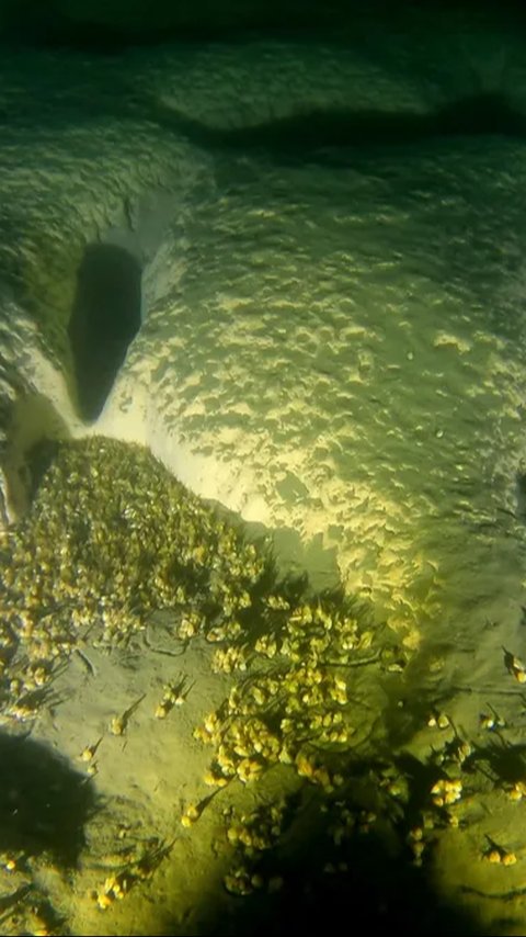 Puluhan Lubang Raksasa Ditemukan di Dasar Danau, Ilmuwan Sampai Kirim Kapal Selam karena Penasaran