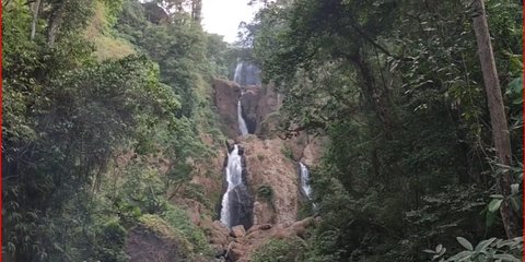 Melihat Pesona Curug Telu Kalices, Air Terjun Tiga Tingkat yang Letaknya Tersembunyi di Hutan Kendal