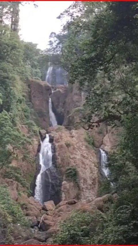 Melihat Pesona Curug Telu Kalices, Air Terjun Tiga Tingkat yang Letaknya Tersembunyi di Hutan Kendal