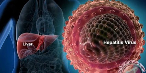 Waspadai Hepatitis: Fakta, Mitos, dan Tips Pencegahannya