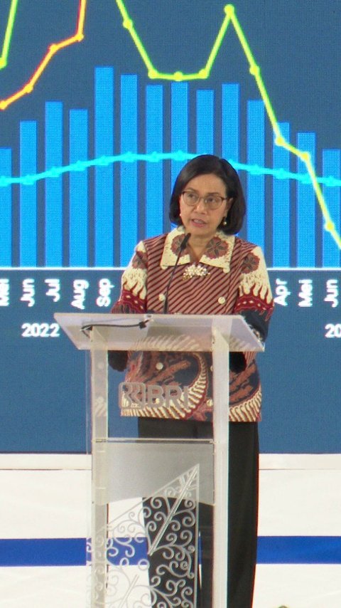 Sri Mulyani Curhat Sulitnya Kumpulkan Pajak