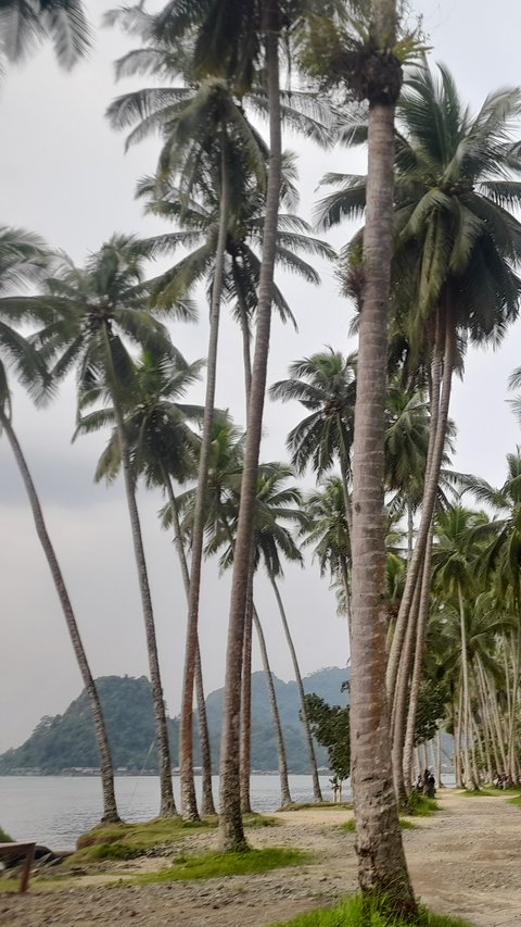 Menikmati Pesona Pantai Nirwana Padang di Kala Senja, Dekat dari Pusat Kota, Cocok buat Healing