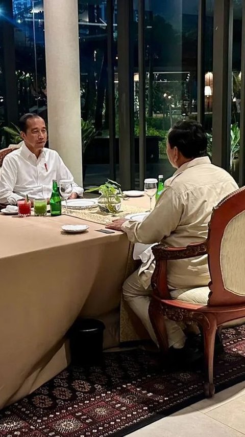 VIDEO: Dasco Gerindra Ungkap Isi Percakapan Prabowo dan Jokowi Jelang Pertemuan Dengan Megawati