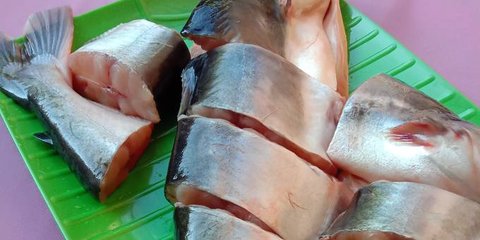 Cara Ampuh Mengolah Ikan Patin, Dijamin Tidak Amis dan Pasti Lezat