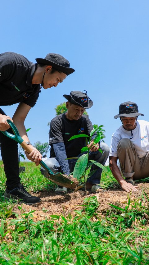 FOTO: Memulihkan Hutan, Aksi Nyata Kelompok Tani Mantan Penambang Melalui BRImenanam Grow & Green