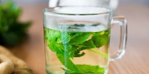 Mengenal Daun-daun Ajaib untuk Kesehatan di Indonesia, Solusi Alami Turunkan Kolesterol
