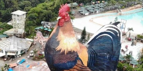 Hotel Berbentuk Ayam Ini Pecahkan Rekor Dunia, Lokasinya di Negara Tetangga