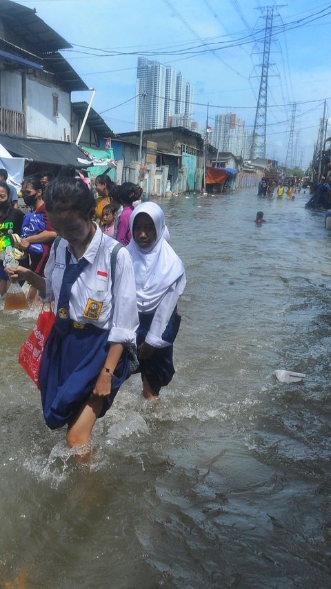 Kondisi Banjir Rob di Jakarta Utara, 3 RT dan 4 Ruas Jalan Tergenang