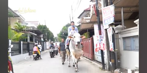 Gokil, Irfan Hakim Berangkat Salat Jumat Naik Seekor Sapi dan Bagi-bagi Nasi Kotak