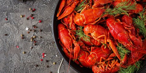 Mengapa Lobster Bisa Menjadi Bahaya Jika Tidak Dikonsumsi dengan Bijak? Ini Kata Pakar Gizi