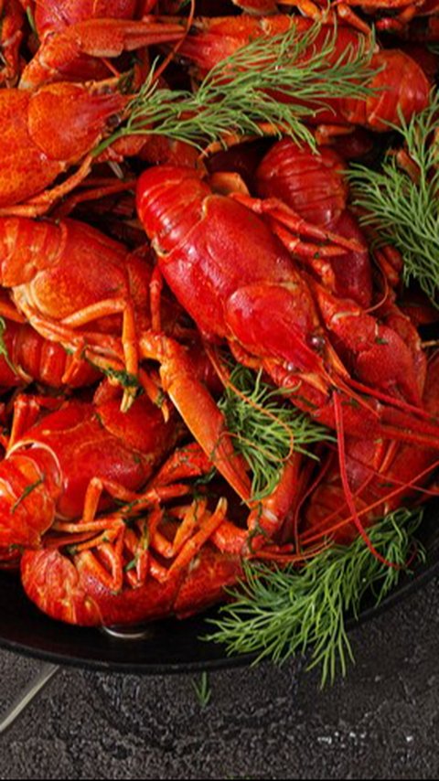 Mengapa Lobster Bisa Menjadi Bahaya Jika Tidak Dikonsumsi dengan Bijak? Ini Kata Pakar Gizi