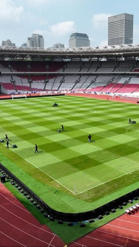 FOTO: Kondisi Terbaru Rumput GBK Jelang Duel Timnas Indonesia vs Timnas Arab Saudi