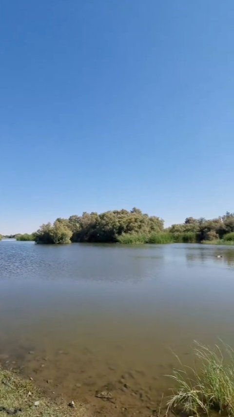 Penampakan Danau Misterius di Pinggiran Kota Mekkah yang Jarang Orang Tahu, Banyak Pohon Tumbuh Subur