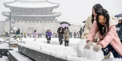 Korea Selatan Diterjang Hujan Salju Lebat, Empat Orang Tewas