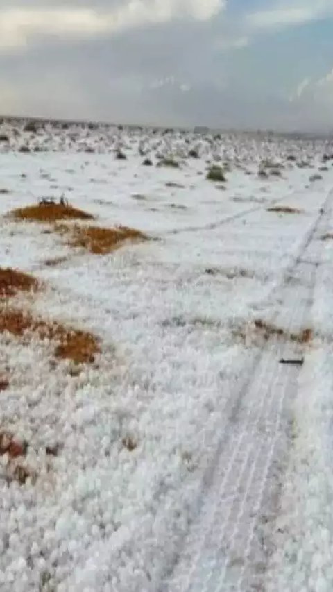 VIDEO Pertama dalam Sejarah, Hujan Salju Turun di Gurun Arab Saudi