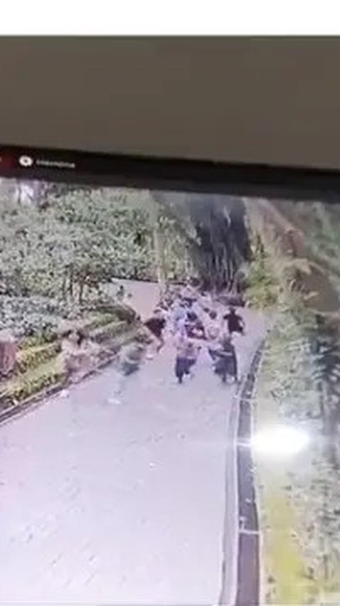 Jenazah WNA Korsel Tertimpa Pohon di Monkey Forest Ubud Dikremasi di Bali