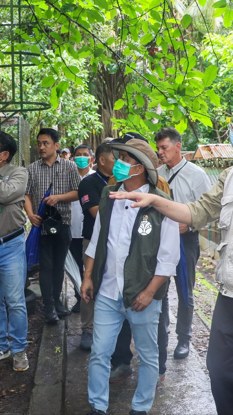 Menhut Tegaskan Perketat Pengawasan, Gunakan Anjing Pelacak untuk Gagalkan Penyelundupan Satwa