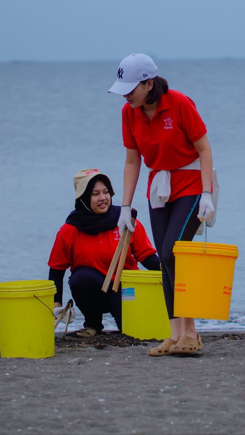 FOTO: Aksi Relawan Bersih-Bersih Pantai Tanjung Pasir, Kumpulkan Sampah Ratusan Kilogram