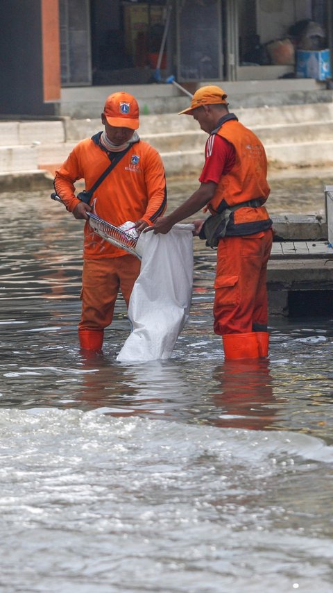 Bukan karena Curah Hujan Tinggi, Ini Penyebab Banjir Rob di Jakarta