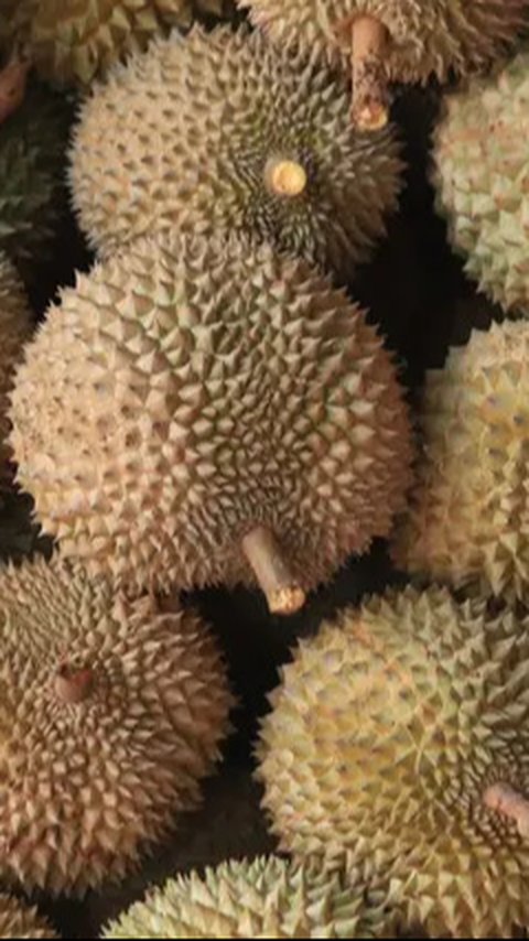 Strategi Pemerintah Bisa Dapat Rp128 Triliun Lewat Durian