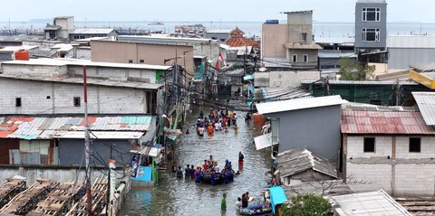 Banjir Rob Muara Angke Jakarta Utara, Begini Skema Evakuasi Warga