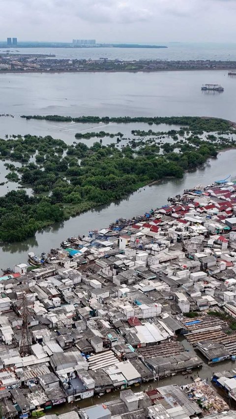 Banjir Rob Muara Angke Jakarta Utara, Begini Skema Evakuasi Warga