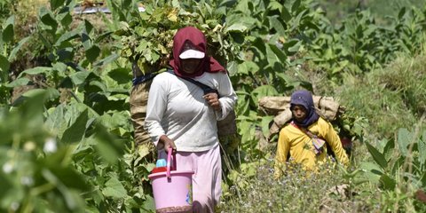 Korea Selatan Buka 207.000 Lowongan Kerja Non Profesional buat Warga Negara Asing