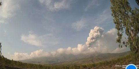 Gunung Lewotobi Laki-laki Berstatus Siaga, Tinggi Kolom Erupsi Capai 1.000 Meter