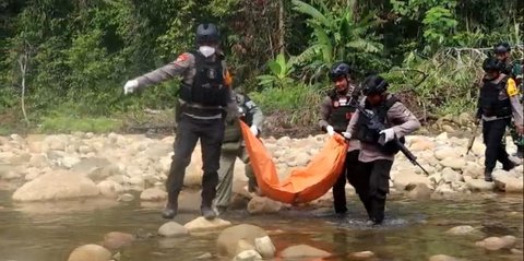 Kronologi OPM Tembak Guru di Ilaga Puncak Papua saat Malam Natal