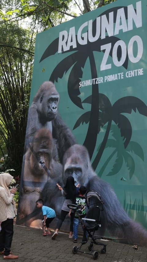 Libur Akhir Tahun, 10.360 Orang Kunjungi Kebun Binatang Ragunan