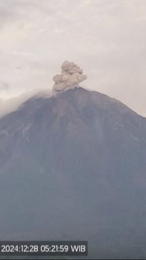 Semeru Berkali-kali Erupsi pada Sabtu Pagi, Ini Arah Abu Vulkanik