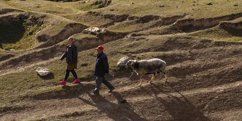 Liburan Akhir Tahun, Aktivitas Seru ini Bisa Jadi Pilihan Wisata Asyik