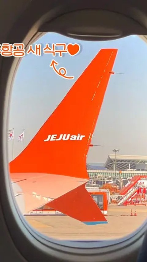 Ini Penyebab Pesawat Jeju Air Jatuh di Bandara Muan Tewaskan 28 Penumpang