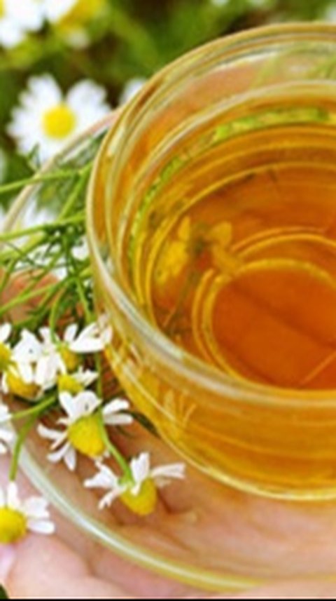 Resep Minuman Teh Chamomile, Konsumsi Sebelum Tidur untuk Bantu Atasi Kolesterol Jahat dalam Tubuh