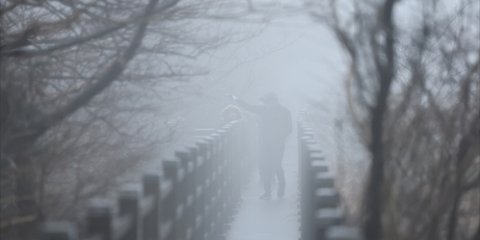 Korea Selatan Alami Hujan Salju Terlebat dalam 117 Tahun, Sampai Tewaskan Warga & Penerbangan Terganggu