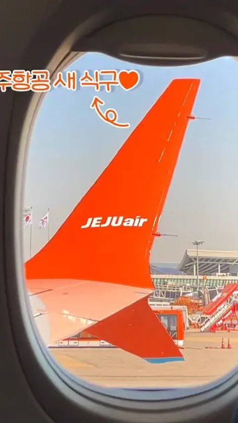 Imbas Kecelakaan Pesawat Jeju Air, Korea Selatan Masuki Masa Berkabung dan Beberapa Acara Hiburan Batal Tayang