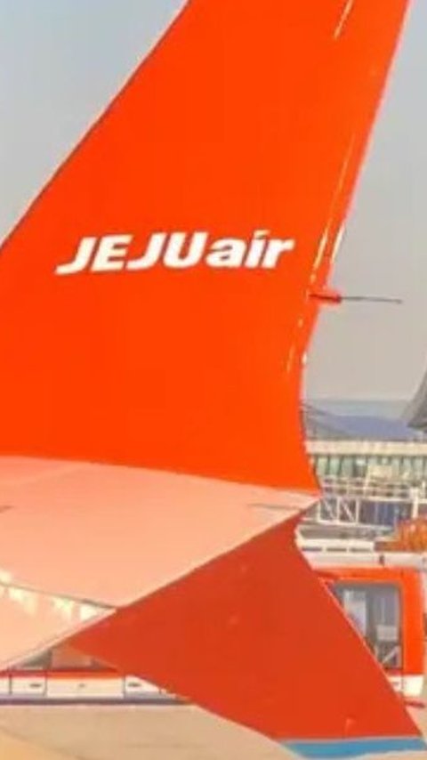 Mengenal Bird Strike yang Diduga Jadi Penyebab Kecelakaan Jeju Air