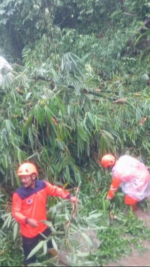 Cuaca Ekstrem di Sukabumi Sebabkan Longsor, Puluhan Rumah Hancur hingga Akses Jalan Tertutup